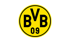 BVB Logo